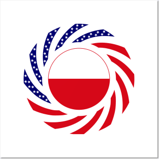 Polish American Multinational Patriot Flag Posters and Art